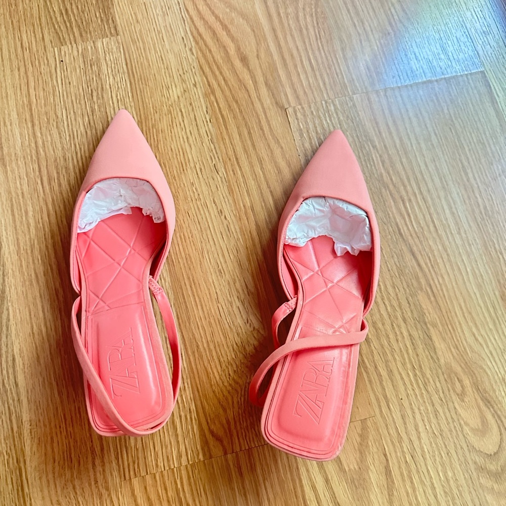 Zara Pink Pointed-Toe Flats with Mary Jane Strap